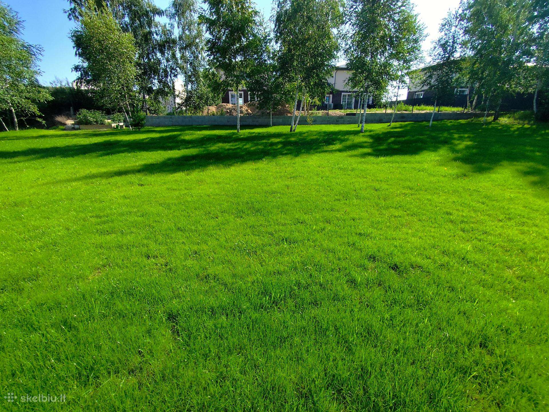 Lawn Care