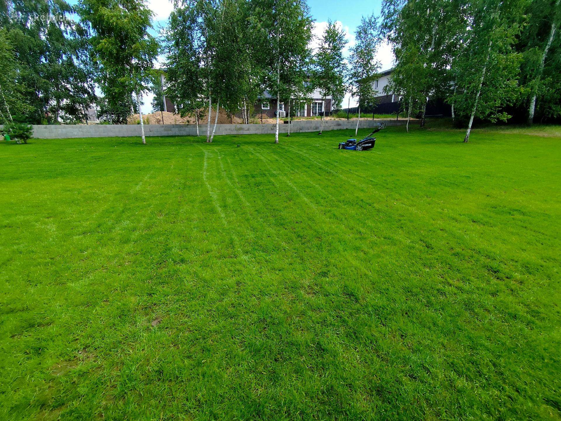 Lawn Care