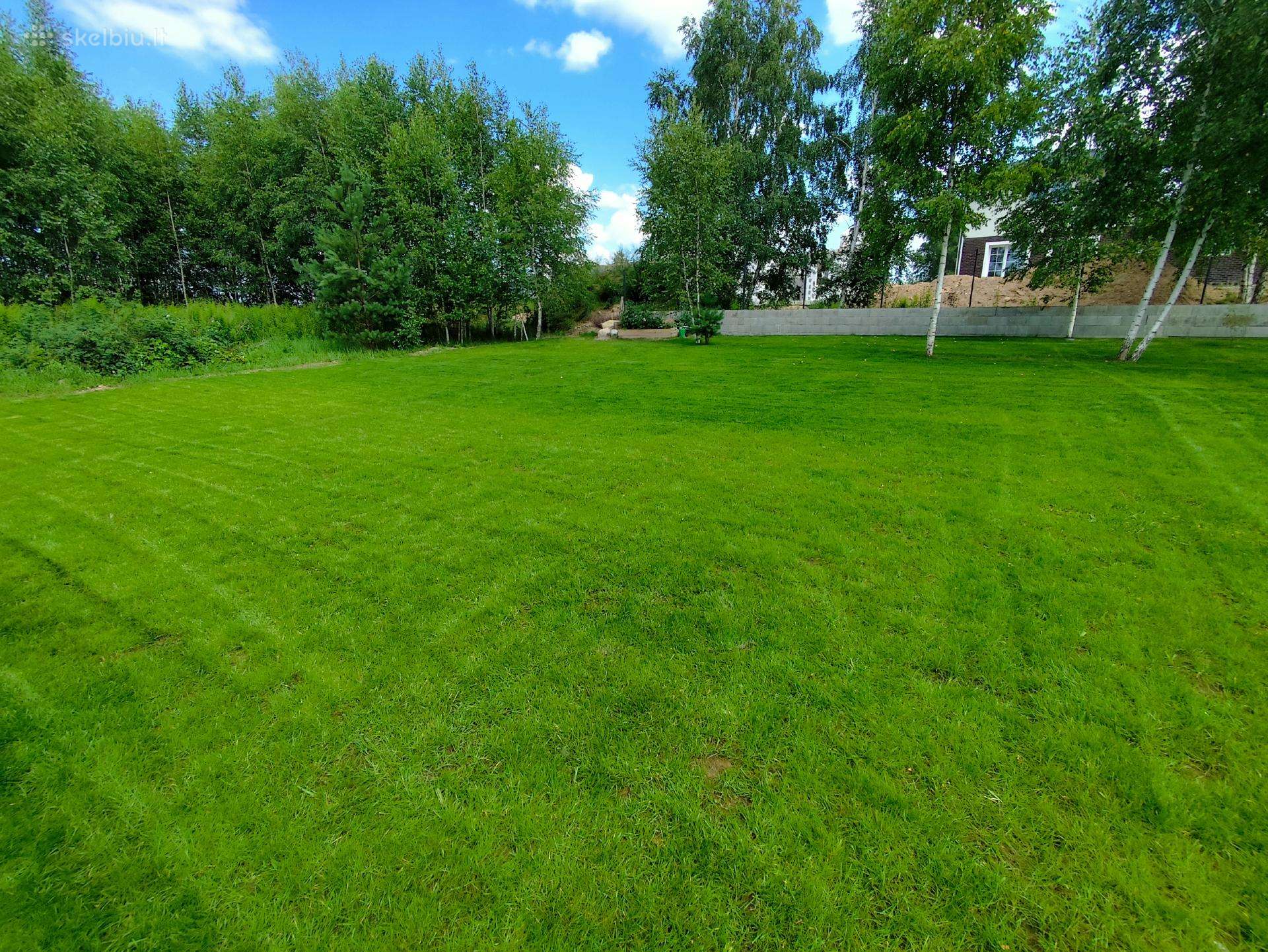 Lawn Care